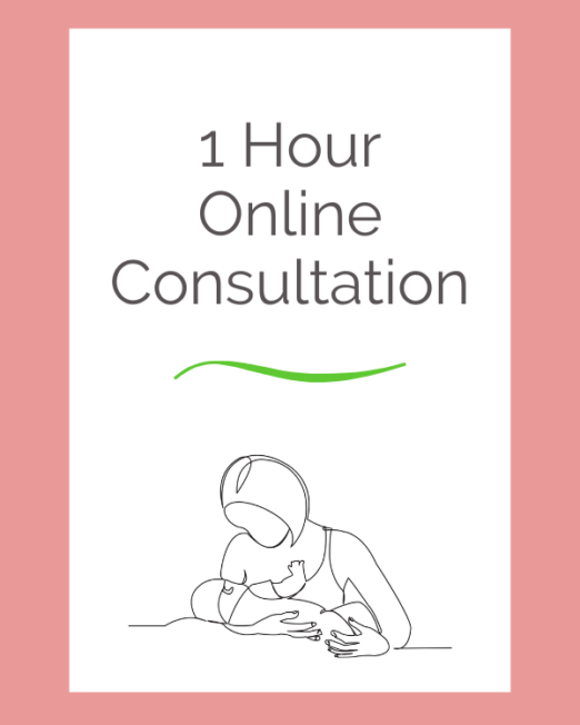 1 hour virtual consultation